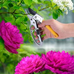 Ratcheting Garden Shears