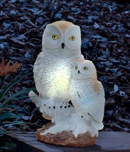 Solar Garden Owl