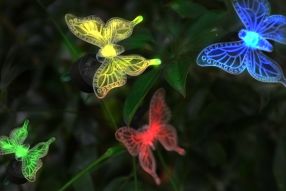 Solar Butterfly Clips