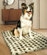 Thermal Pet Mat