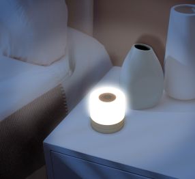 Touch Lamp